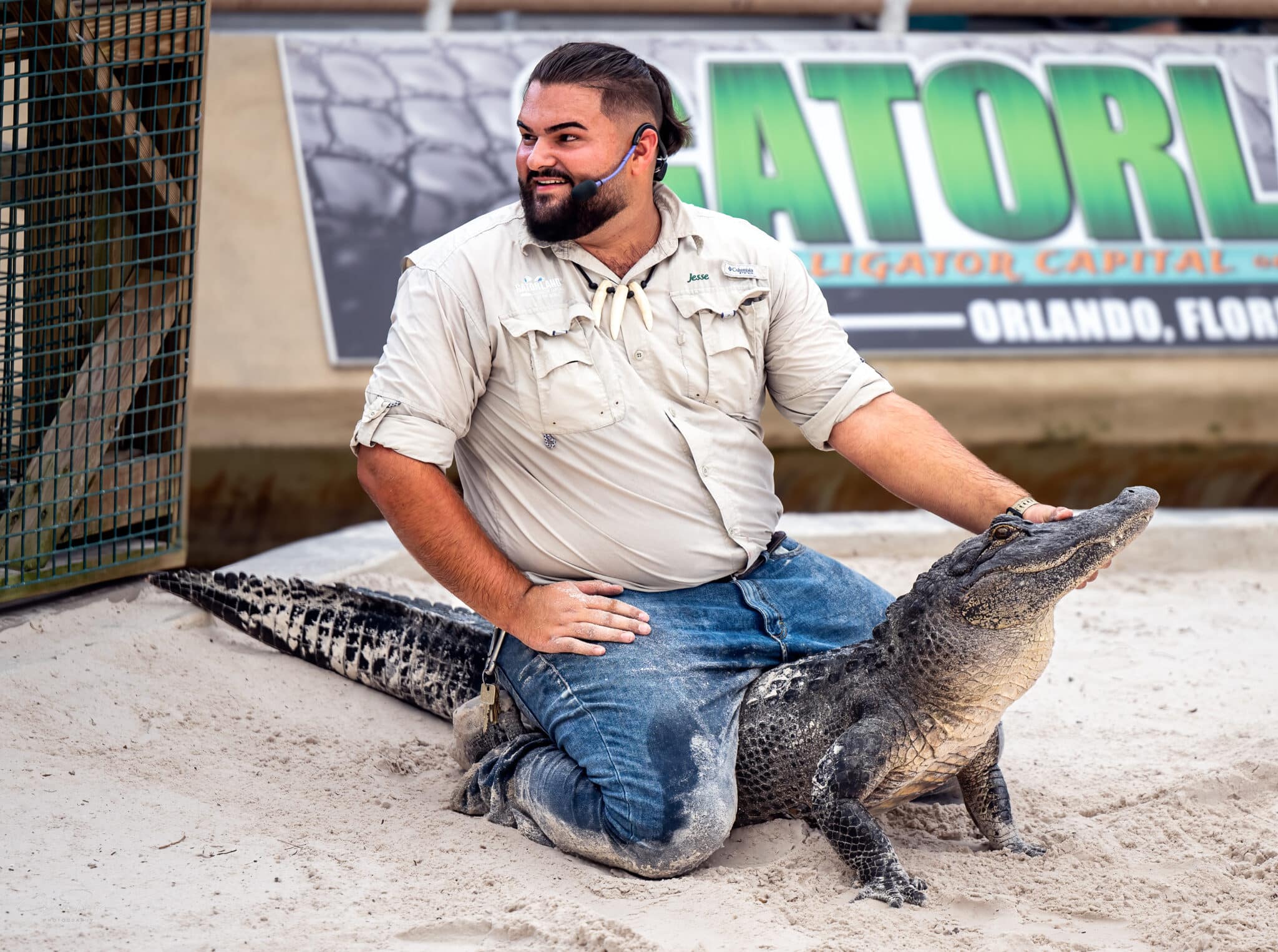 Florida Roadside Attractions: Gatorland - FMN News